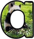 Free printable digital lettering sets for classroomd display, featuring a Panda Bear background.