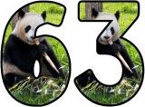 Free printable digital lettering sets for classroomd display, featuring a Panda Bear background.