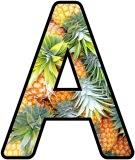 Free printable instant display lettering sets with a Pineapple background.