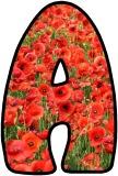 Poppies printable display lettering sets