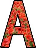 Poppy background lettering sets, remembrance day display
