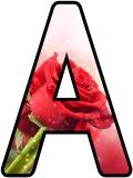 Free printable Red Rose background instant display digital lettering and number sets for classroom bulletin board display.
