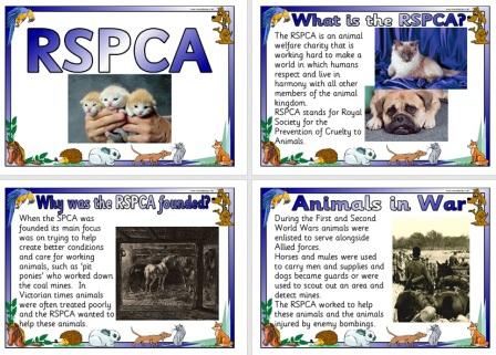 Free Printable RSPCA Information Posters for Schools