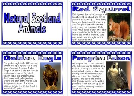 Free Natural Scotland Scottish Animals Information Posters