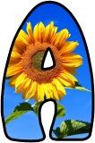 sunflowers instant display lettering set