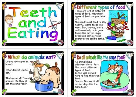 Free Science Posters Teeth and Eating