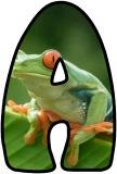 (Tree) Frogs background printable display lettering sets.