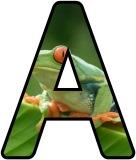 (Tree) Frogs background printable display lettering sets.