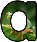 (Tree) Frogs background printable display lettering sets.