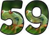 (Tree) Frogs background printable display lettering sets.
