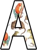Free printable downloadable lettering sets - voles