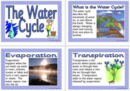 Free Printable Water Cycle Posters for Classroom Display