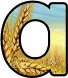 Free printable Wheat Harvest background instant display lettering sets for classroom bulletin board display.