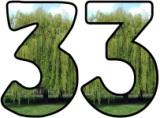Free printable lettering sets for classroom display.  Willow tree background letters.