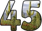 Free printable instant display digital lettering sets with a desert cactus background.