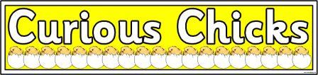 Curious Chicks Banner