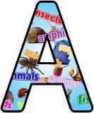 Science Classification Display Lettering