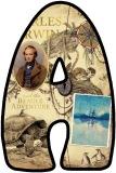 Free printable instant display lettering sets with a Charles Darwin themed background.  Great for creating headings for displays and bulletin boards.