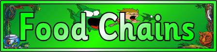 Food Chains Banner