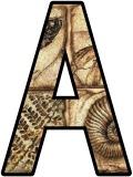 Fossil background free printable display lettering