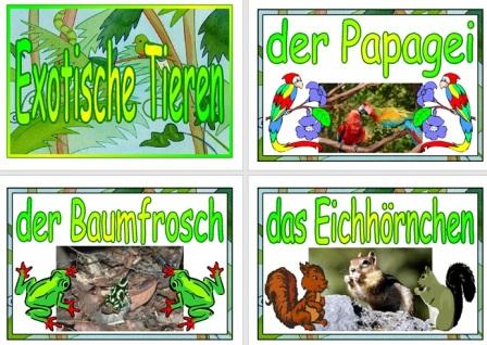 Free Printable German Exotic Animals Vocabulary Cards