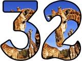 Free Giraffe  background display lettering sets