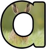 Printable Hare background display alphabet lettering set for classroom display board headings.