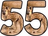 Free printable instant display digital lettering sets with a Hyena photo background.  Great for classroom displays and bulletin boards.