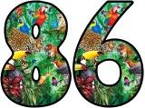 animal themed classroom display lettering
