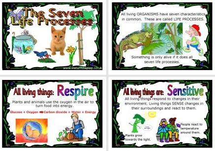Free Printable Science Resource Seven Life Processes