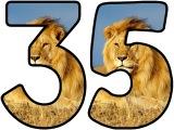 Free printable lion background instant display digital lettering sets for classroom display. Free display lettering.