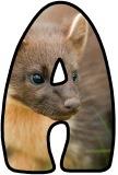 Free printable Pine Marten background instant display lettering sets.&nbsp;