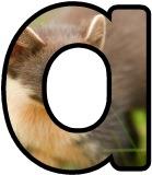 Free printable Pine Marten background instant display lettering sets.&nbsp;