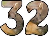 Free printable Pine Marten background instant display lettering sets.&nbsp;