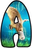 Printable Platypus background instant display lettering sets for classroom display.