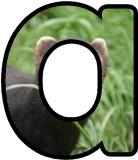 Free printable instant display lettering sets with a Polecat background.&nbsp;
