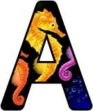 Free Seahorse lettering