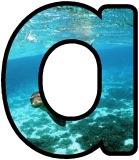 Free grey seal classroom display lettering sets, letters.