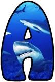 Free printable shark background instant display lettering sets for classroom bulletin board display.  Digital lettering sets for scrapbooking or banner making.