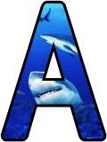 Free printable shark background instant display lettering sets for classroom bulletin board display.  Digital lettering sets for scrapbooking or banner making.