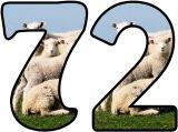 Free printable sheep and lambs background digital lettering sets for classroom bulletin board display.