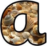 Free printable sea shell lettering for classroom bulletin board display.