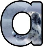 Printable classroom display lettering sets with a Snow Leopard background image.