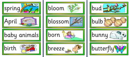 Free Printable Spring Vocabulary Cards