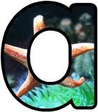 Free printable digital letters for classroom bulletin board display with an under the sea - starfish background.  Free to download and print.