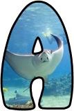 Free printable instant display digital letters sets with a Stingray photo background.
