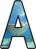 Free printable instant display digital letters sets with a Stingray photo background.