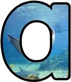 Free printable instant display digital letters sets with a Stingray photo background.