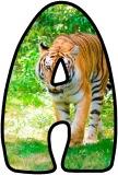 Free printable instant display lettering sets with a Tiger background.