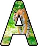 Free printable instant display lettering sets with a Tiger background.